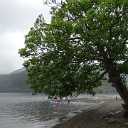 DSC03653