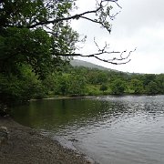 DSC03654