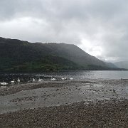 DSC03655