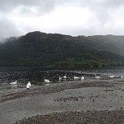DSC03656