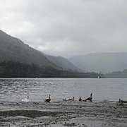 DSC03660