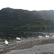 DSC03661