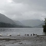 DSC03664