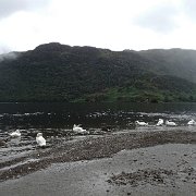 DSC03665