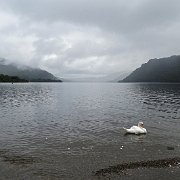 DSC03666