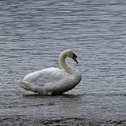 DSC03669