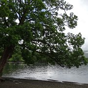 DSC03672