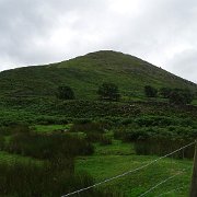 DSC03679