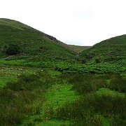DSC03680