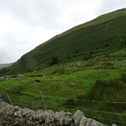 DSC03685