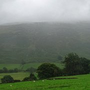 DSC03724