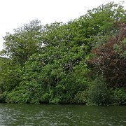 DSC03750