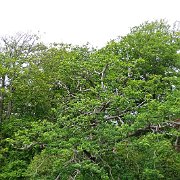 DSC03751
