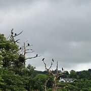 DSC03769