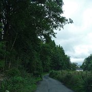 DSC03775