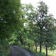 DSC03777