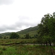 DSC03782