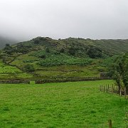 DSC03791