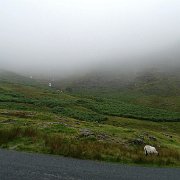DSC03808