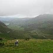 DSC03812