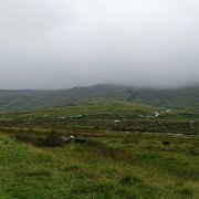 DSC03823