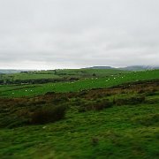 DSC03836