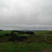 DSC03845