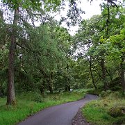 DSC03885