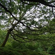 DSC03886