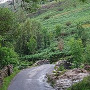 DSC03889