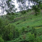 DSC03890