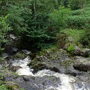 DSC03892
