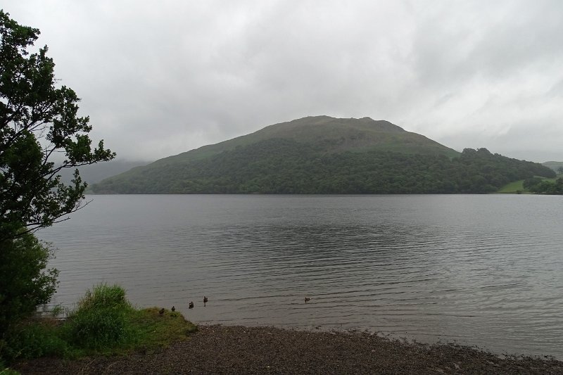 DSC03893