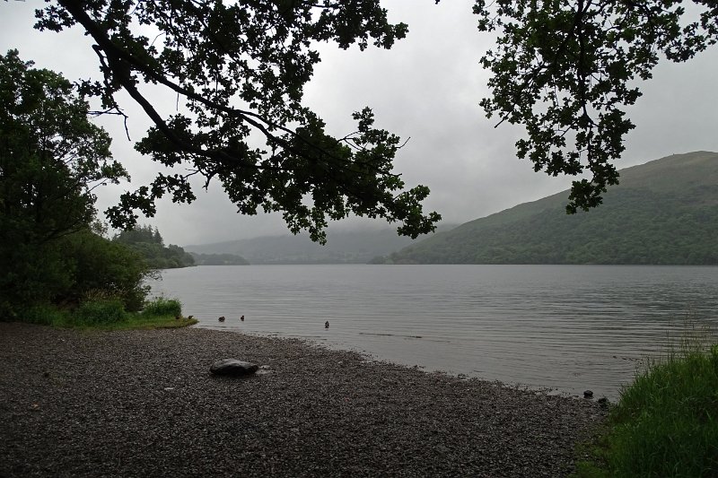 DSC03896