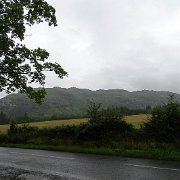 DSC03894