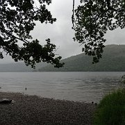 DSC03895