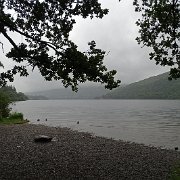 DSC03896