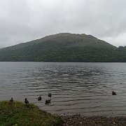 DSC03898