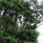 DSC03902