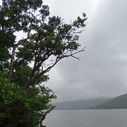 DSC03907