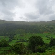 DSC03923