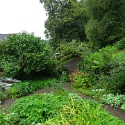 DSC03987