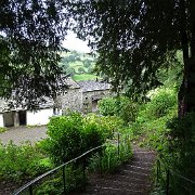 DSC03994