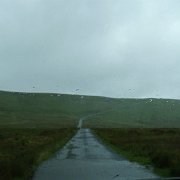 DSC04006