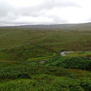 DSC04019