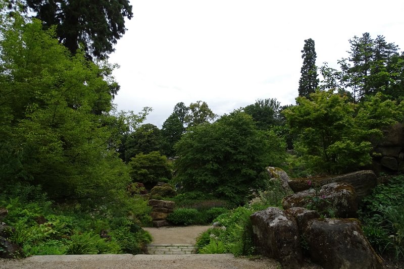 DSC01838