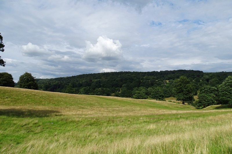 DSC01911