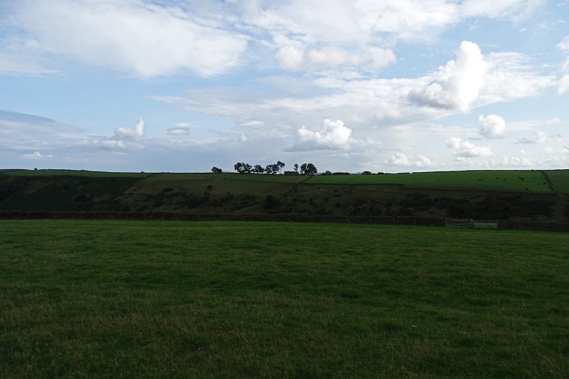 DSC01930