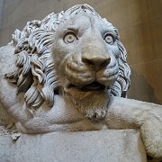 DSC01770