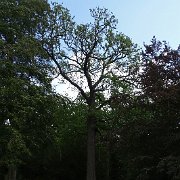 DSC01801